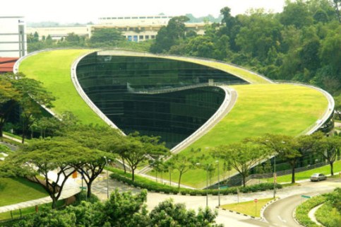 آموزشی] سقف سبز و چمنی، دانشکده هنر، طراحی و رسانه های Nanyang ...این ساختمان منحصر به فرد را سقف پوشیده از سبزه(چمن) که با زمین ترکیب شده  تماشایی نموده است. جدار شیشه ای دیوار و بتن خام منهای نقاشی در آنجا وجود  دارد